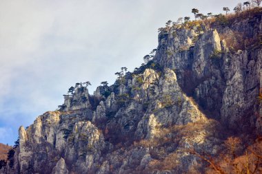 Karpatya Dağları 'ndaki dağ manzarası, Romanya, Mehedinti, karsız bir kış gününde.