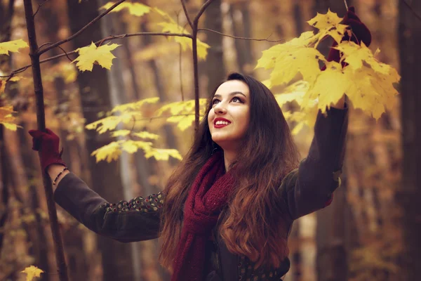 Νεαρή γυναίκα στο όμορφο πάρκο φθινόπωρο, φθινόπωρο έννοια — Φωτογραφία Αρχείου