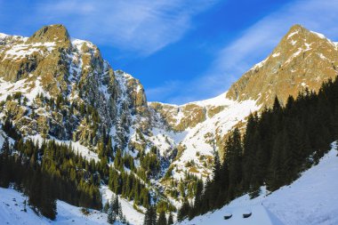 dağ tepe Karpatlar, Romanya ile manzara