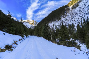 güzel kış manzara Karpat Romanya