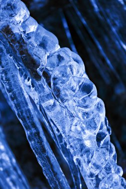 Buzla kaplı ağaç dalları