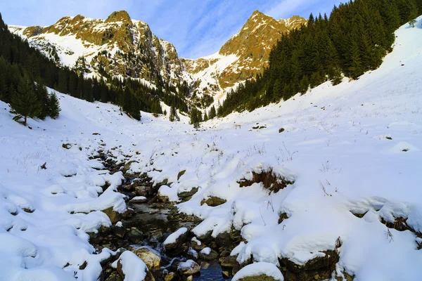 Il fiume di montagna in inverno giornata di sole. Bellissimo paesaggio invernale — Foto Stock