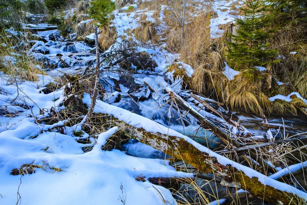 Floden berg i solig vinterdag. Vackra vinter landskap — Stockfoto