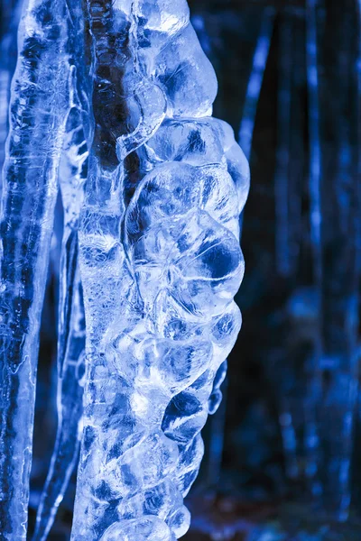 Buzla kaplı ağaç dalları — Stok fotoğraf