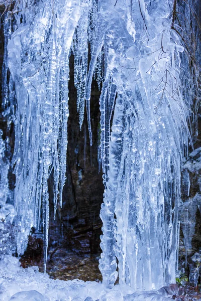 Rami di alberi ricoperti di ghiaccio — Foto Stock