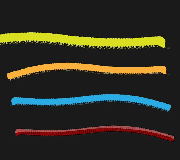 Vector colorido de los gusanos de Millipede — Vector de stock