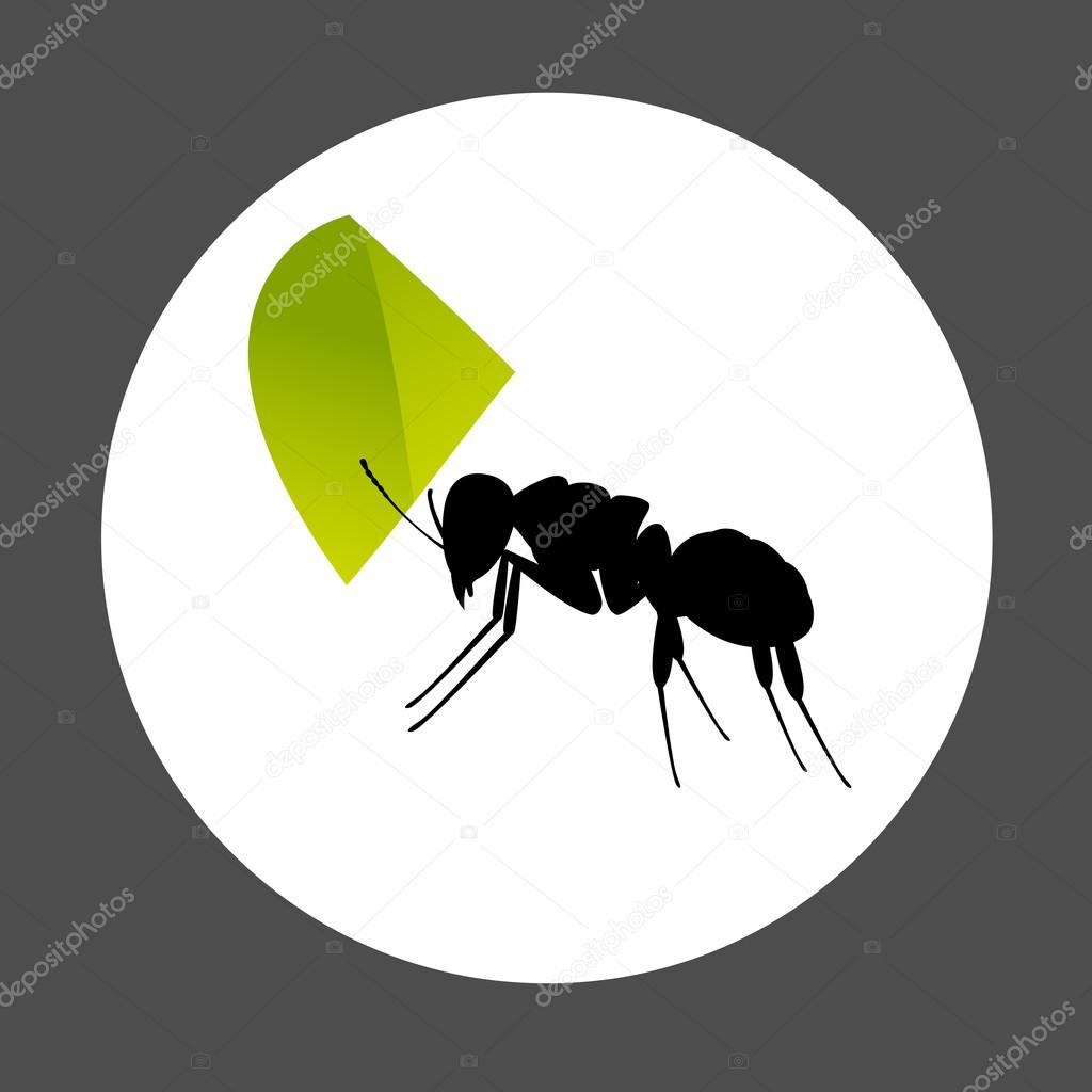 Ant Carrying a Leaf Element