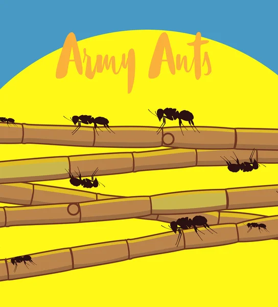 Mrówki na trzciny cukrowej laski — Wektor stockowy