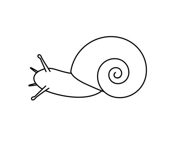 Dessin drôle escargot — Image vectorielle