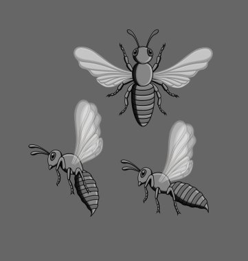 Wasp böcekler vektör 