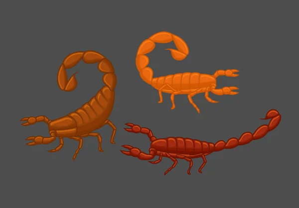 Wild Scorpions Vector — Stock Vector