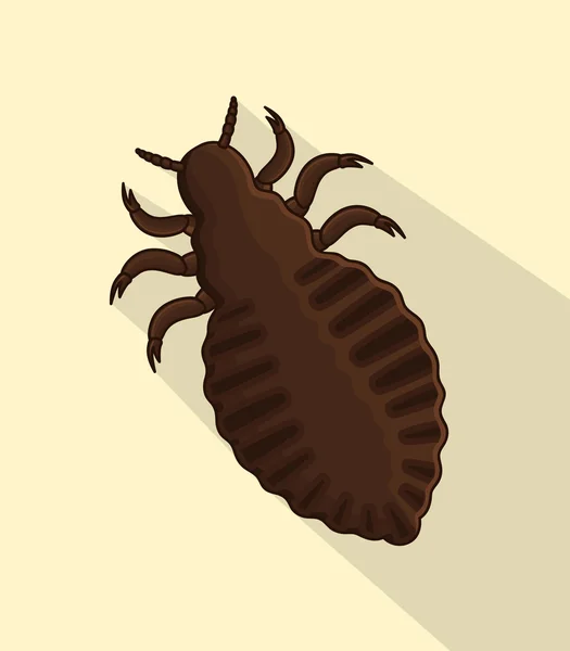 Läuseüberträger-Insekt — Stockvektor
