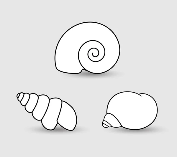 Coquilles Clipart Vector — Image vectorielle