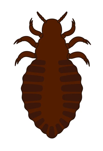 Vecteur d'insectes tiques — Image vectorielle