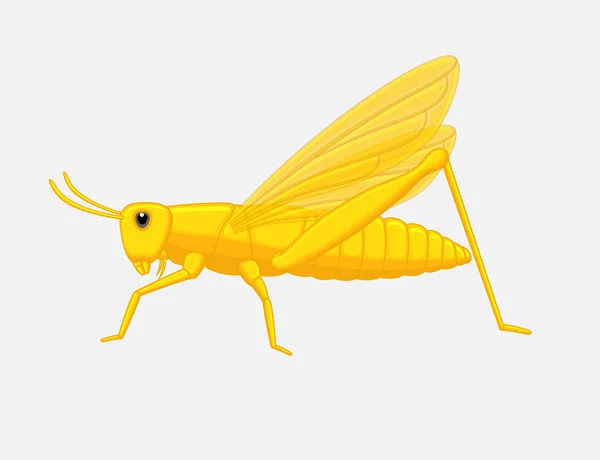 Yellow Grasshopper Vector — Stock Vector