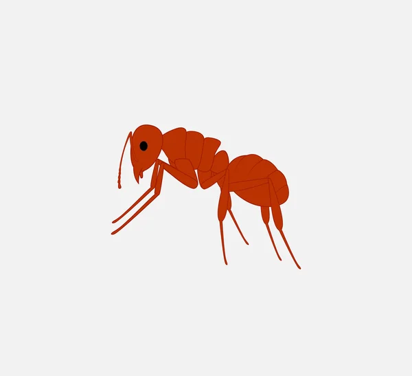 Red Ant Vector — Stock Vector