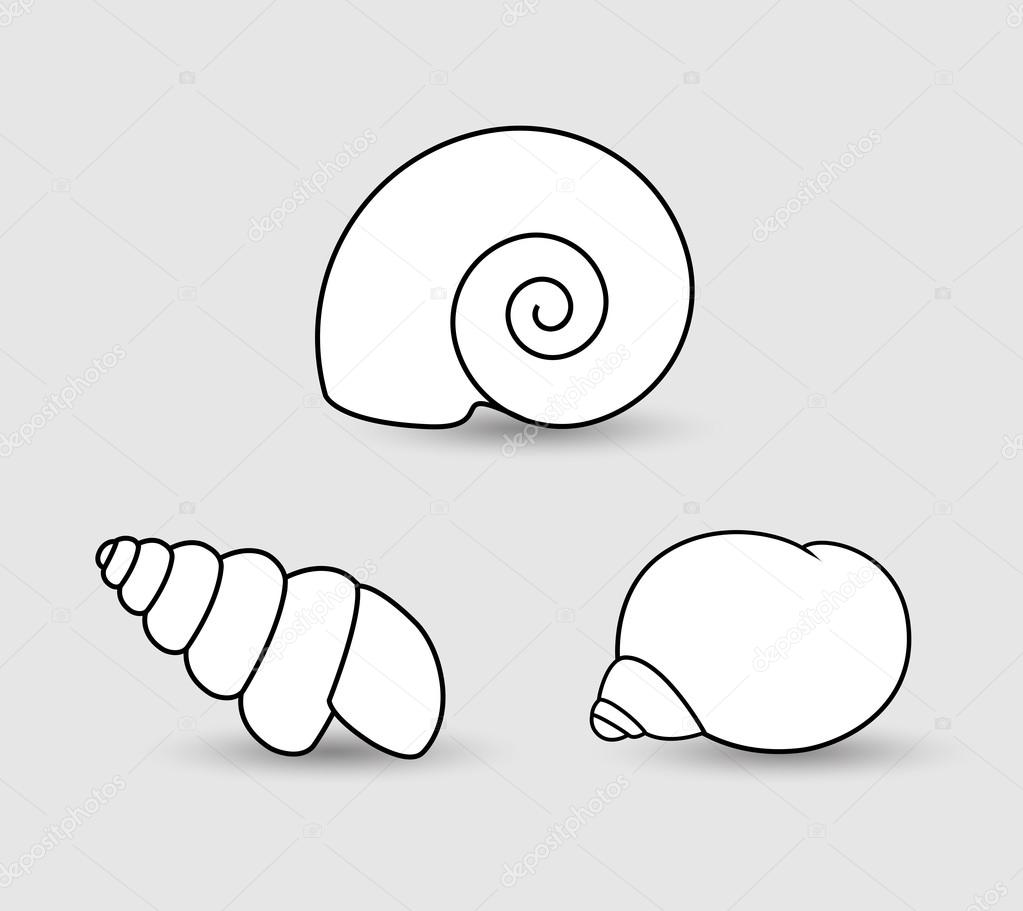 Shells Clipart Vector 