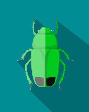 Yeşil zehirli böceği böcek