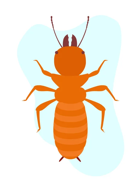 Termite Insect Vector — Stock Vector