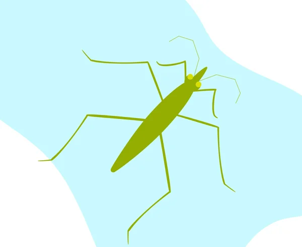 Water Strider Insect — Stock Vector