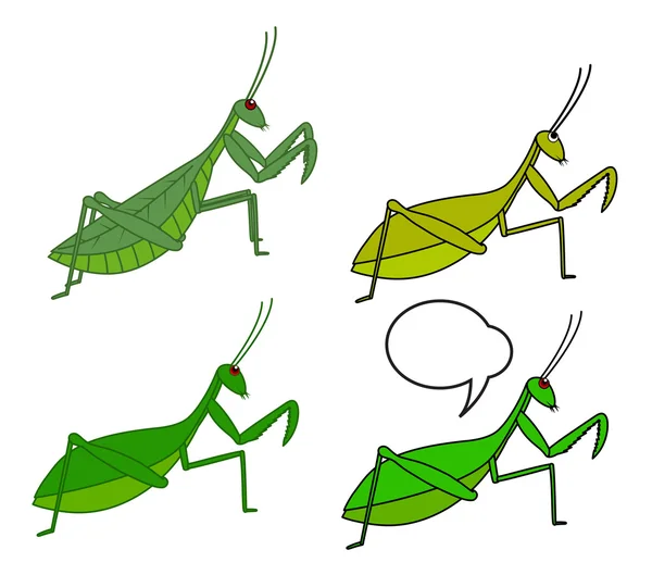 Mantid Insects Vector — Stock Vector