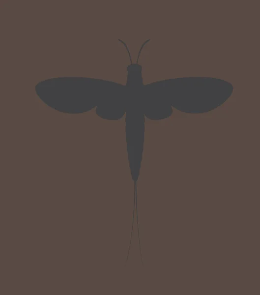 Mayfly Insect Vector Silhouette — Stock Vector