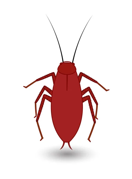 Cockroach Insect Vector — Stock Vector