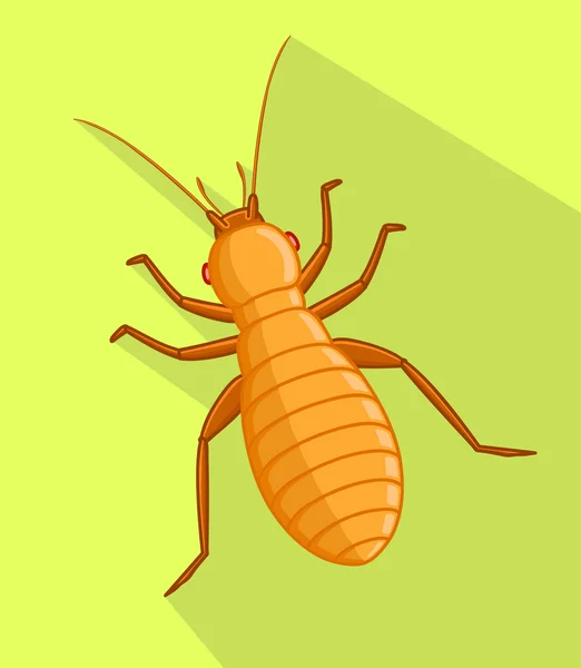 Louse Vector Insect — Stock Vector