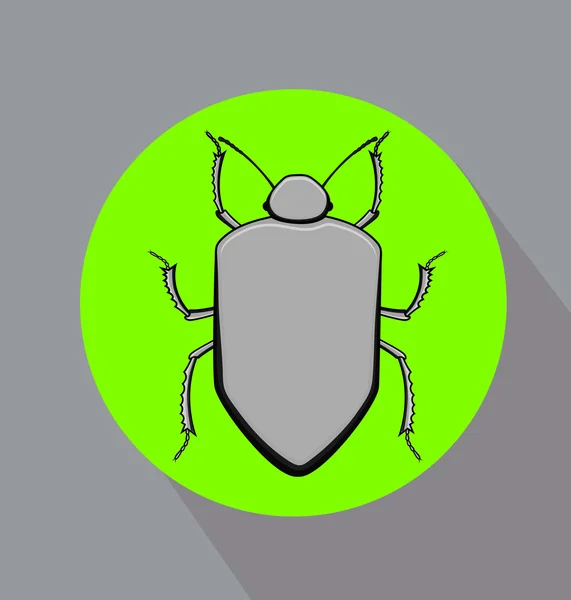 Grey Beetle Insect Vector — Stock Vector