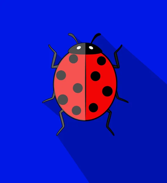 Ladybird Insect Vector — Stock Vector