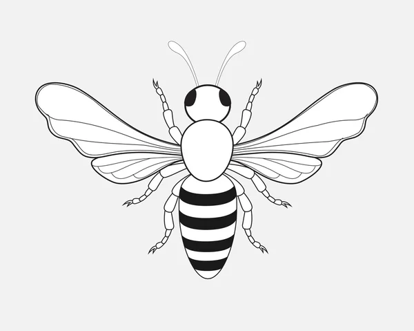 Cartoon Bumblebee Drawing — Stock Vector