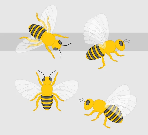 Karikatür arılar vektör — Stok Vektör