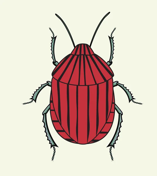 Piros csíkos bogár rovar elszigetelt fehér — Stock Vector