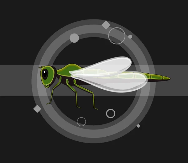 Dragonfly Insectos Vector Ilustración — Vector de stock