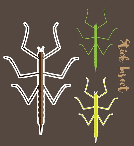 Vecteurs d'insectes bâton — Image vectorielle