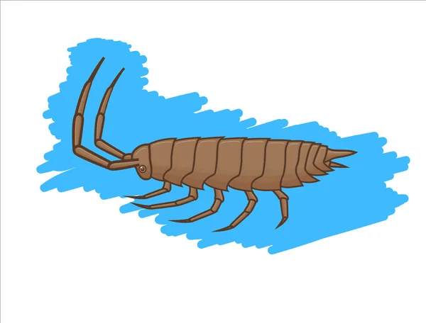 Wild Woodlouse Insect — Stock Vector