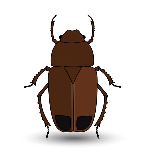 Vector de insecto escarabajo — Vector de stock