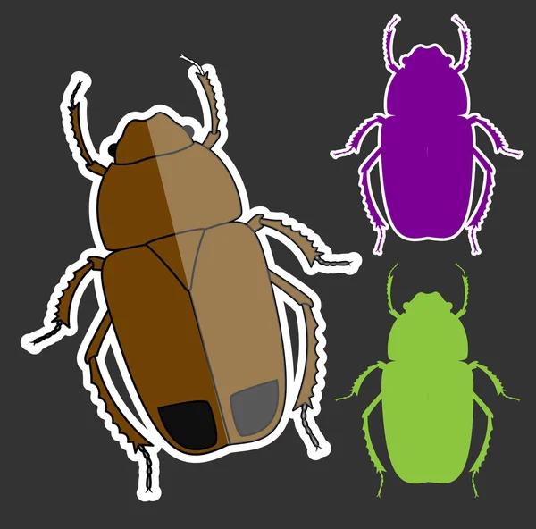 Σκαθάρι έντομα διανύσματα — Διανυσματικό Αρχείο