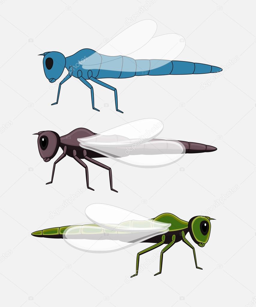 Dragonfly Insects Vector