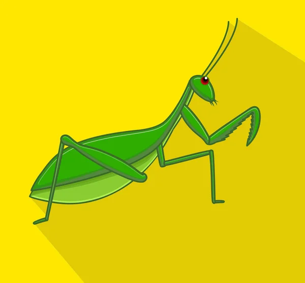 Mantid Insect Vector — Stock Vector