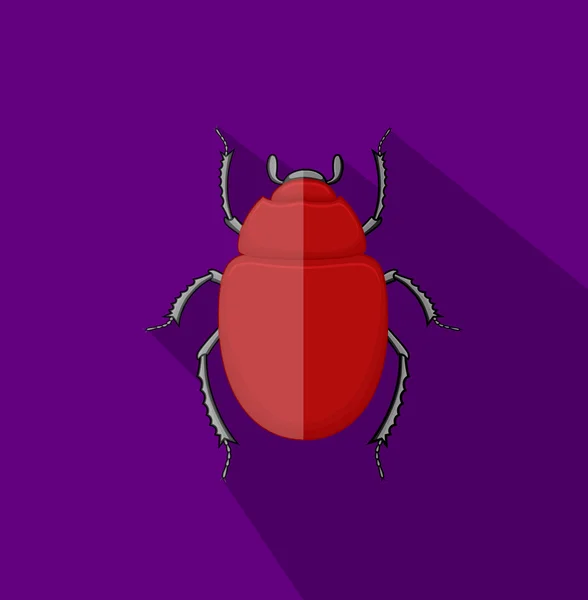 Escarabajo salvaje insecto — Vector de stock