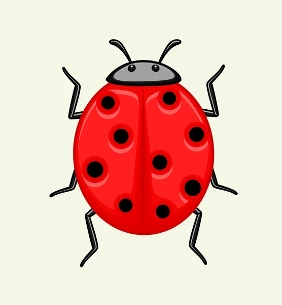 Cartoon Ladybug Vector — Stock Vector