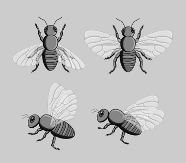 Vahşi arılar vektör