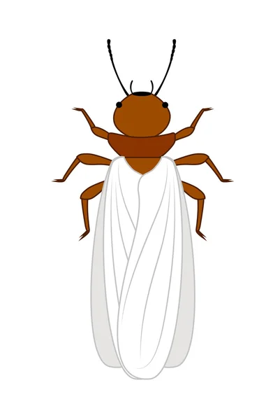 Winged Termite Insect — Stock Vector