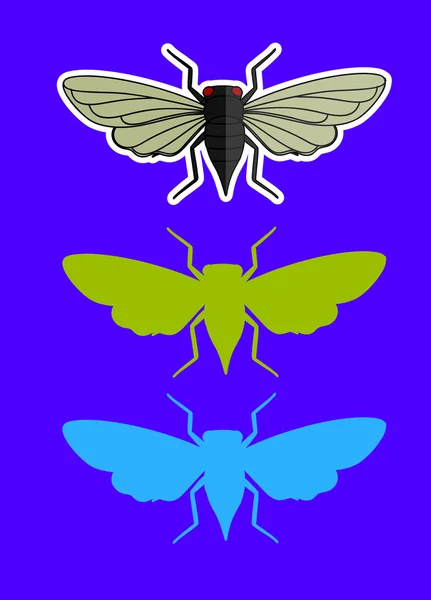 Barevné cikáda hmyz — Stockový vektor