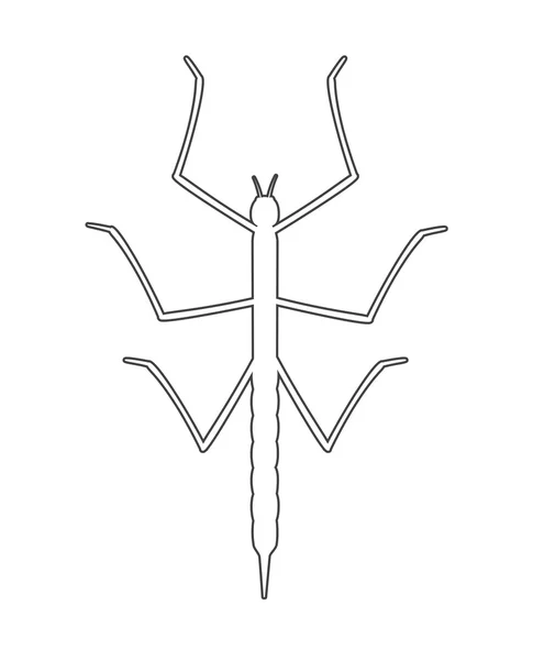 Tekening kunst van Stick Insect — Stockvector