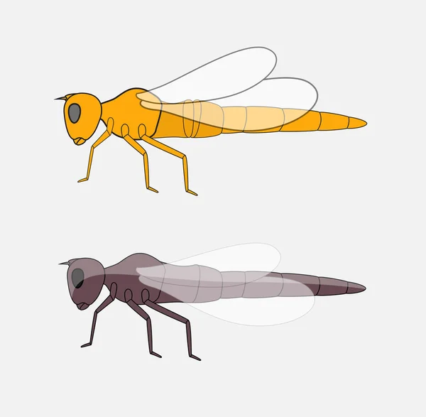 Insektenvektor der Libelle — Stockvektor