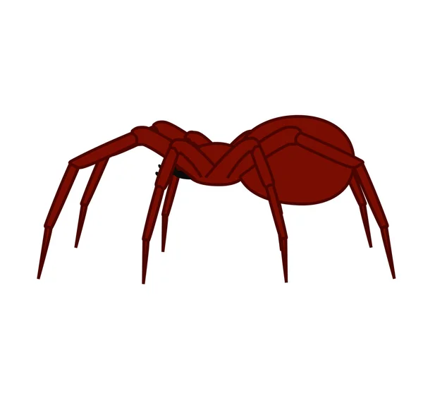 Vector de araña Halloween — Vector de stock