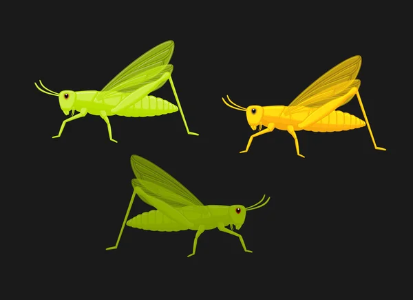 Vecteur de sauterelles colorées — Image vectorielle