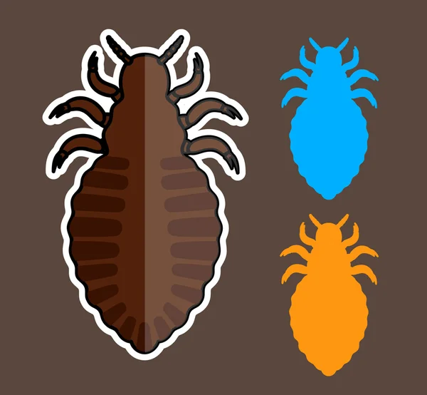 Vector de insectos piojos — Vector de stock